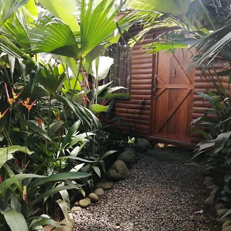 Arenal Rustic Lodge Alajuela Eksteriør bilde