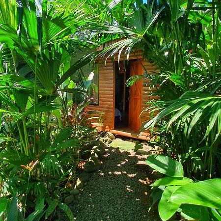 Arenal Rustic Lodge Alajuela Eksteriør bilde