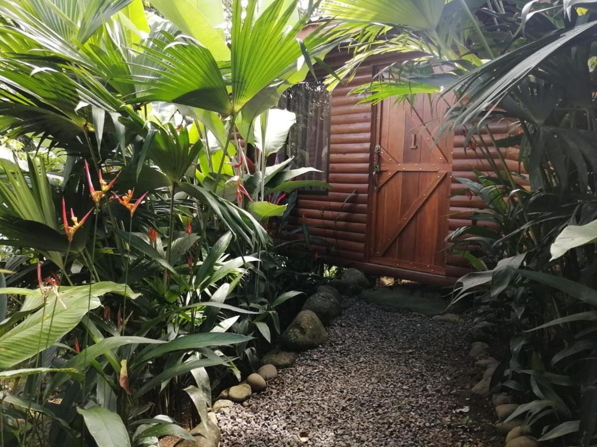 Arenal Rustic Lodge Alajuela Eksteriør bilde