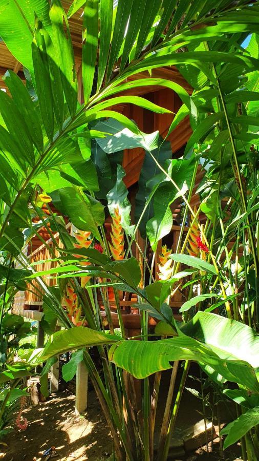 Arenal Rustic Lodge Alajuela Eksteriør bilde