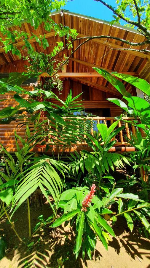 Arenal Rustic Lodge Alajuela Eksteriør bilde
