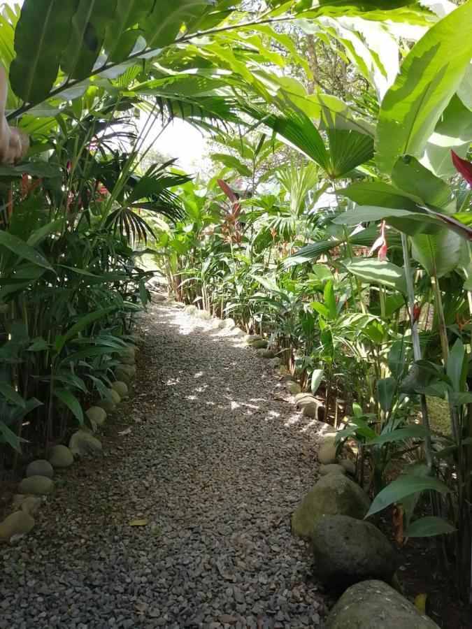 Arenal Rustic Lodge Alajuela Eksteriør bilde